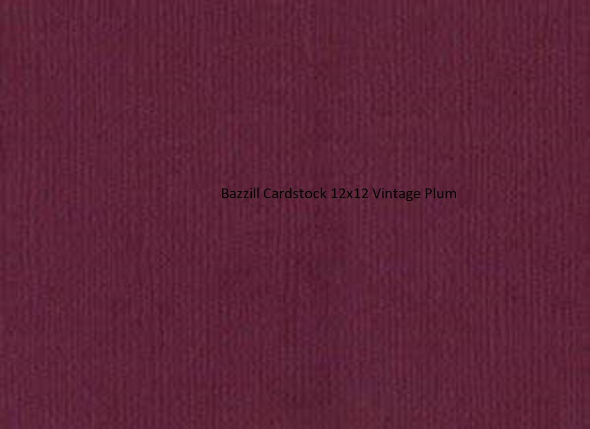 Bazzill Cardstock - 12x12 - Monochromatic - Vintage Plum