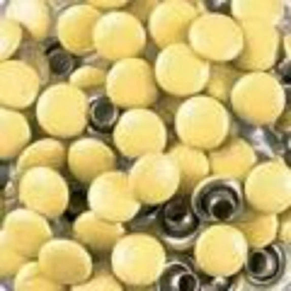 Doodlebug Designs - Dotlets - Butter Cream
