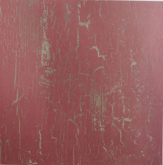 Me & My Big Ideas - Red - Cracked Wood - 12x12 Paper