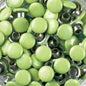 Doodlebug Designs - Dotlets - Limeade