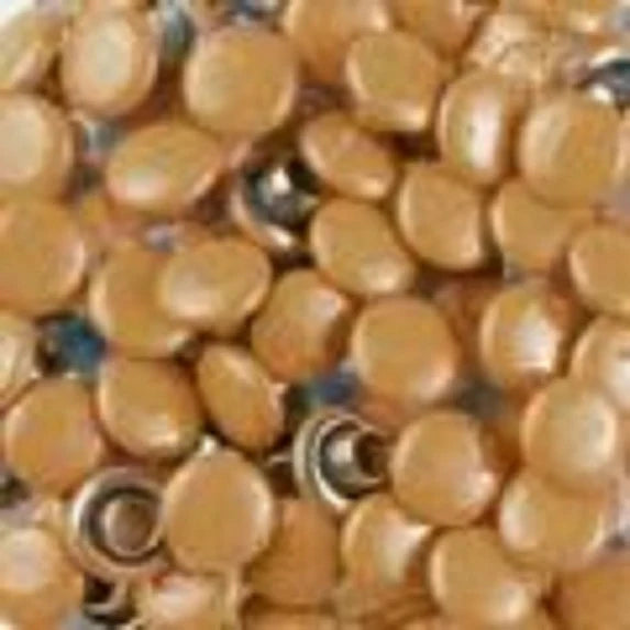 Doodlebug Designs - Dotlets - Bon Bon