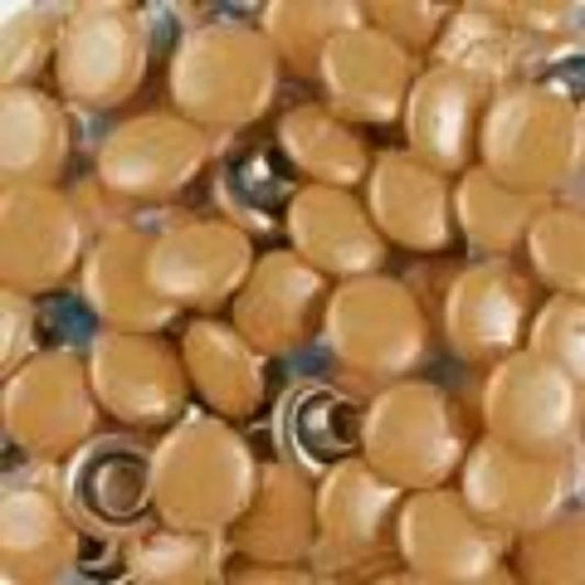 Doodlebug Designs - Dotlets - Bon Bon