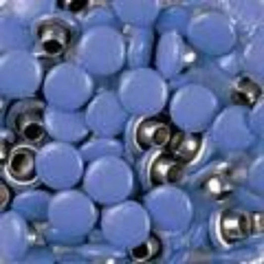 Doodlebug Designs - Dotlets - Forget Me Not