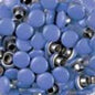 Doodlebug Designs - Dotlets - Forget Me Not