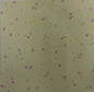 Doodlebub Design - Fruit Loops - 12x12 Paper