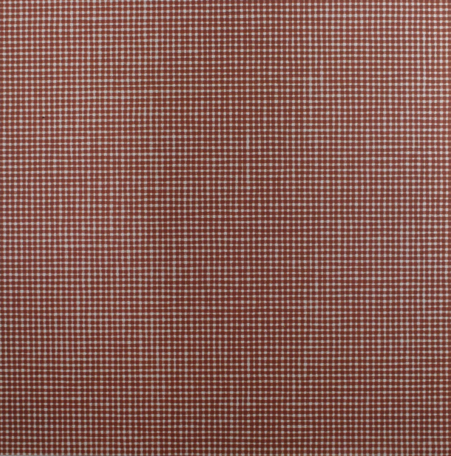 Daisy D's - Gingham Red - 12x12 Paper