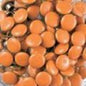 Doodlebug Designs - Dotlets - Marmalade