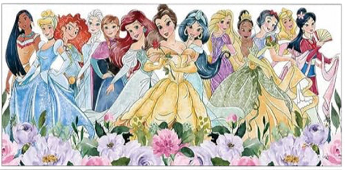 Princesses-  UV DTF 16oz Libbey Cup Wrap