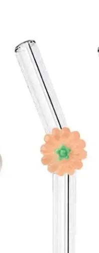 Glass Straw - Fruits