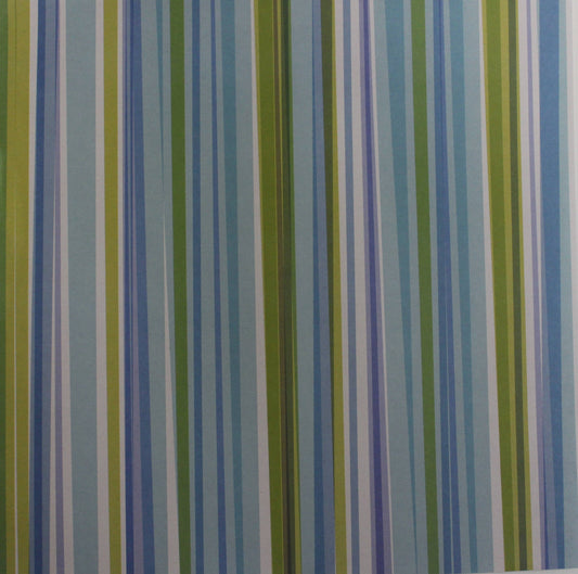 Daisy D's - Taylor Collection - Son Stripe - 12x12 Paper